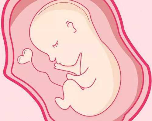 北京借卵自怀费用,2026北京协和医院供卵试管多少钱？附北京供卵试管费用一览