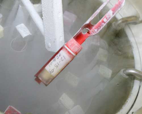 北京靠谱的供卵有吗 北京双独二胎准生证办理流程： ‘彩超看孩子男女’