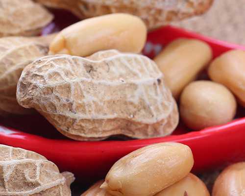 北京代生供卵网,北京供卵中心靠谱吗,北京供卵试管中介靠谱吗