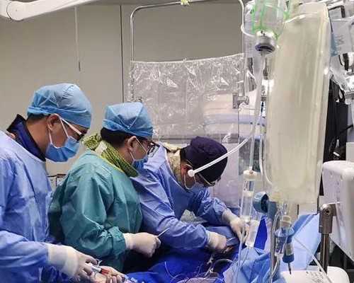 北京私立供卵机构三大常见供卵骗局?,北京做供卵试管的医院推荐-2026年鼠年清