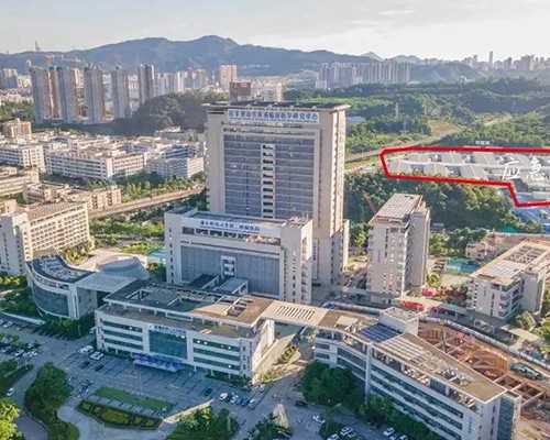 天长助孕公司_梦美生命解析：试管婴儿长大后有没有弊端？