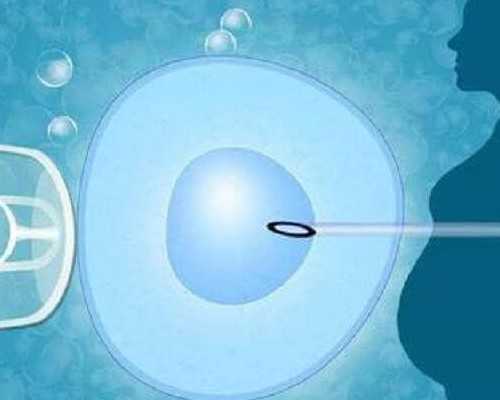 代生供卵咨询，卵泡长多大才算成熟卵泡，才能排出？