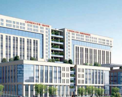 北京去做试管代怀找谁|益阳三代试管成功案例分享