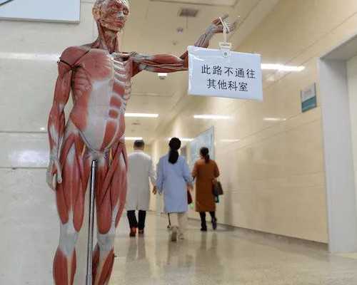 北京借卵生子孩子长相随谁 北京三代试管医院怎么选择? ‘3个月b超怎么看男女