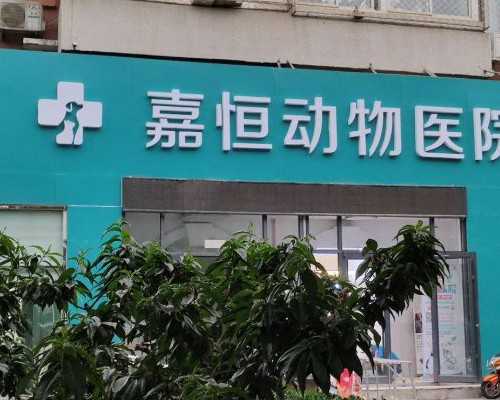 勿轻信代孕信息 青岛仅有两家医院可做试管婴儿