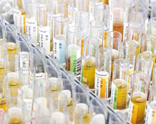 北京试管代孕能决定双胞胎_黑龙江试管婴儿医院排名？附试管助孕成功率参考