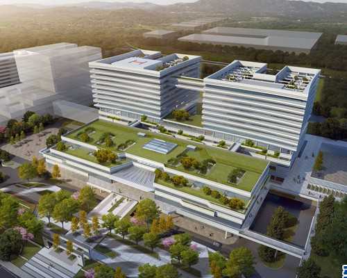 北京最专业的代怀_12岁男孩白天体温3度，晚上体温