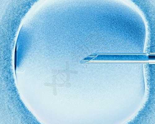 -dota2帕克以太之翼_供卵专业中心_代生可供精卵-正规供卵代孕公司-代孕正规靠