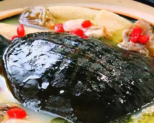 梦圆助孕借腹生子|试管婴儿三级胚胎有希望吗