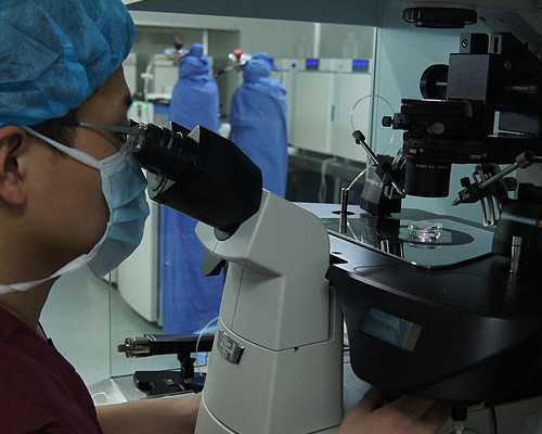 北京去做代孕费用低 北京市人口与计划生育条例更新纪录 ‘多次b超双肾肾盂分