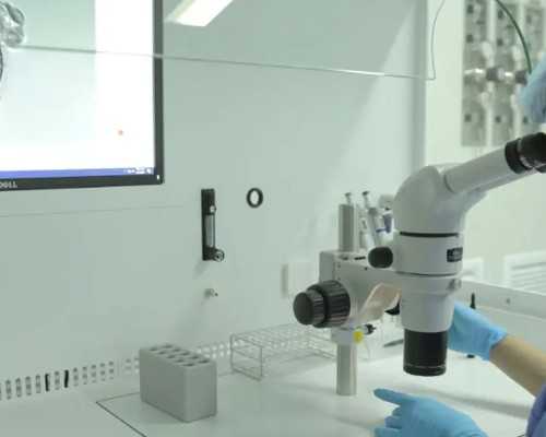 排名前十名北京试管助孕公司,北京试管助孕机构,找****产子公司,试管婴儿包成