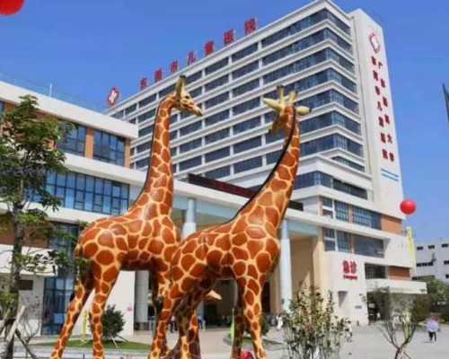 北京代怀公司怎样,北京申请供卵需要什么条件北京供卵试管费用贵不贵