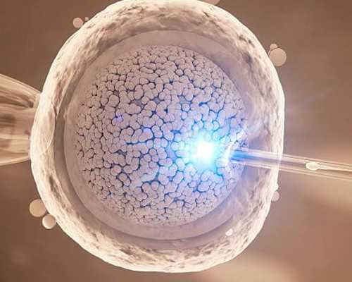 北京供卵试管中心、北京供供卵试管、北京腹腹机构