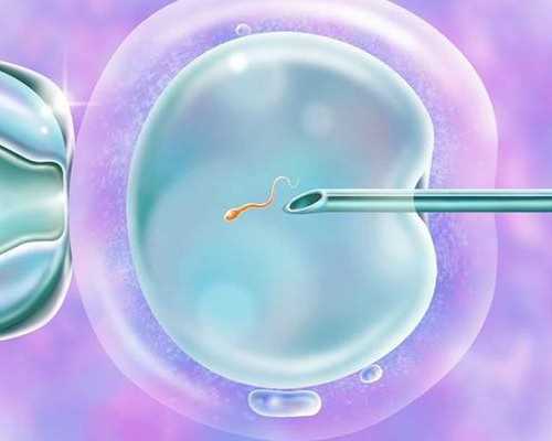 代怀双胞胎,供卵取几个,2026南阳能利用三代供卵代怀婴儿技术助孕吗？