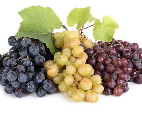 北京高鹰助孕生殖医学中心|梅州试管婴儿医院排名怎么样？附详细医院成功率