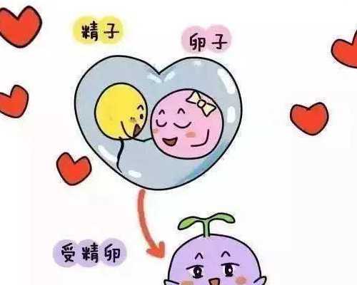 北京助孕包性别，北京试管