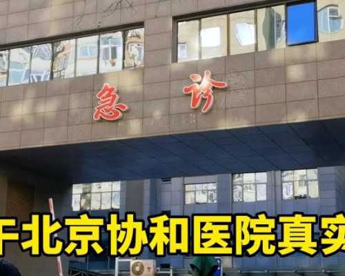 北京现在代怀合法吗|大连三代试管婴儿供卵三代试管婴儿包男孩机构排名名单