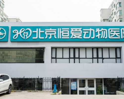 北京我需要钱愿意代孕_吃地屈孕酮片多久来月经