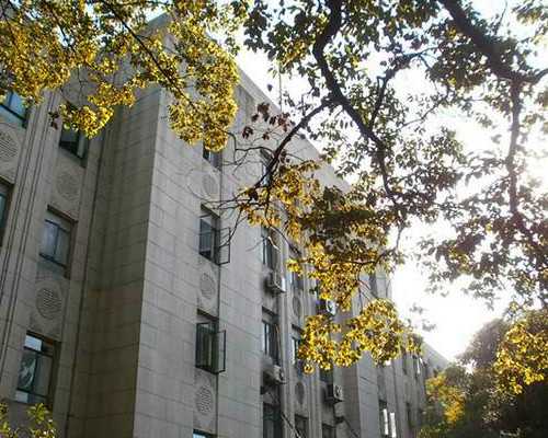 北京哪家代孕公司可靠_140斤的胖子到嘉兴妇幼做试管婴儿移植成功率高吗？